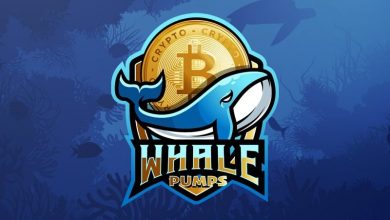 discover-crypto-trading-insights-&-daily-free-signals-with-crypto-whale-pump-community